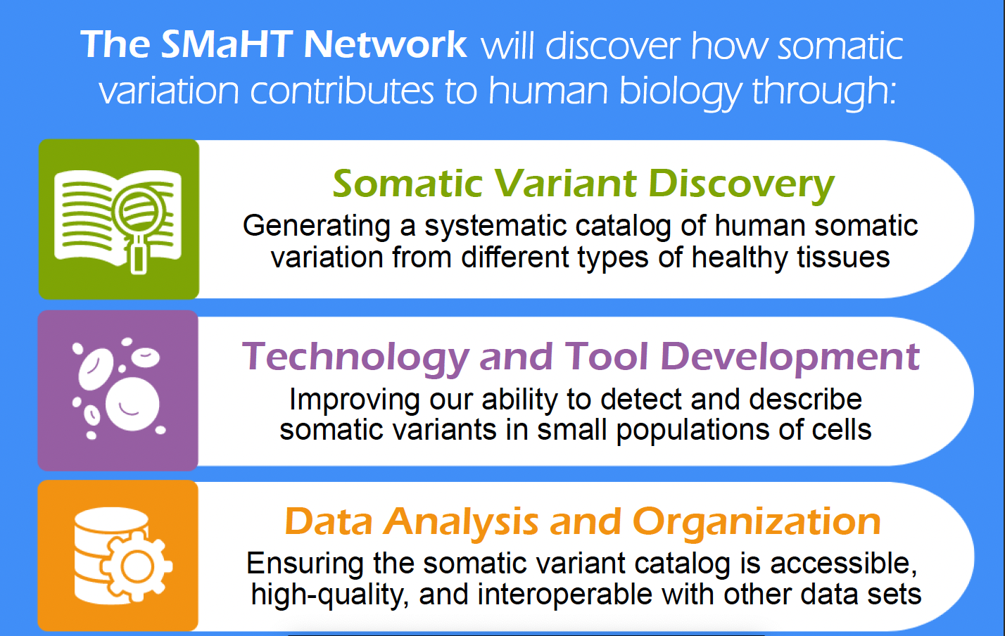 SMaHT Initiatives