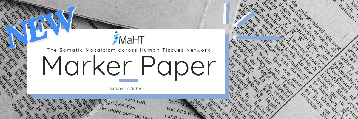SMaHT Marker Paper